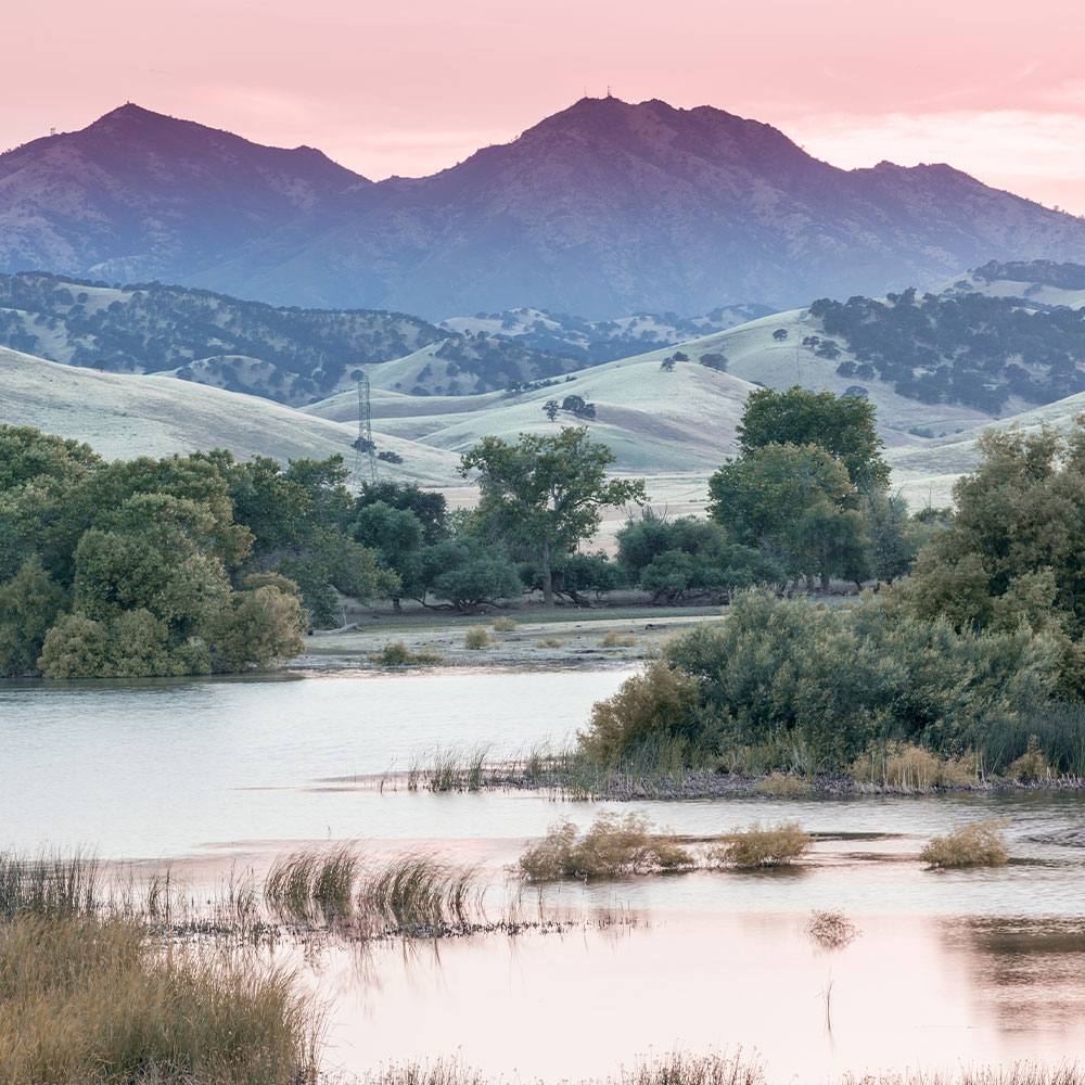 Diablo Creek Dentistry | CBCT, CEREC and Snoring Appliances